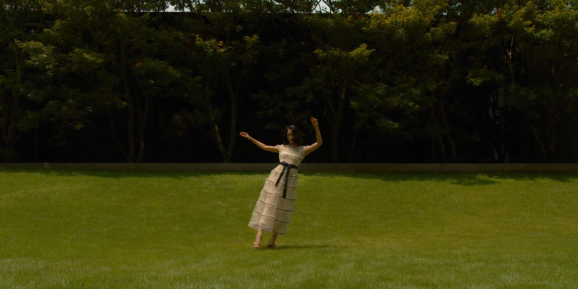 A gesture across the lawn