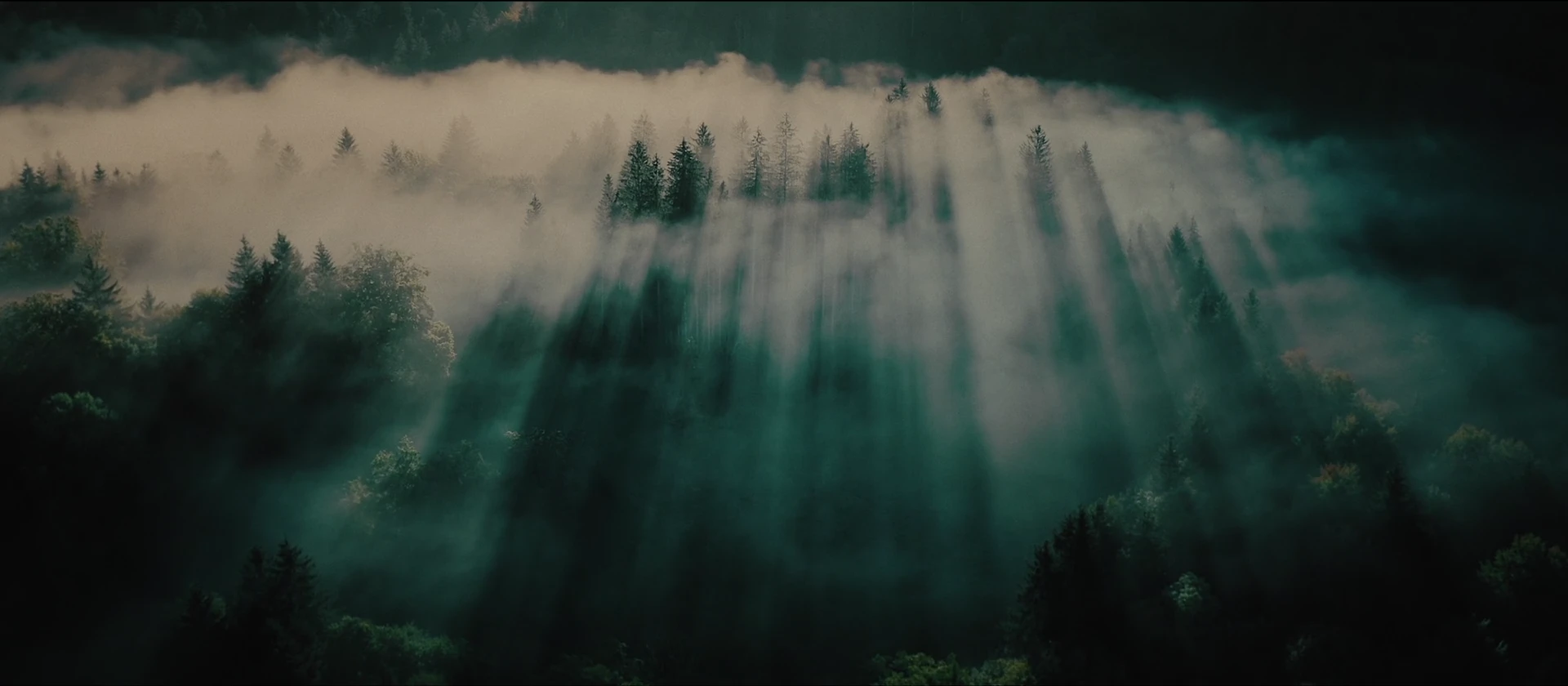 Light over the forest