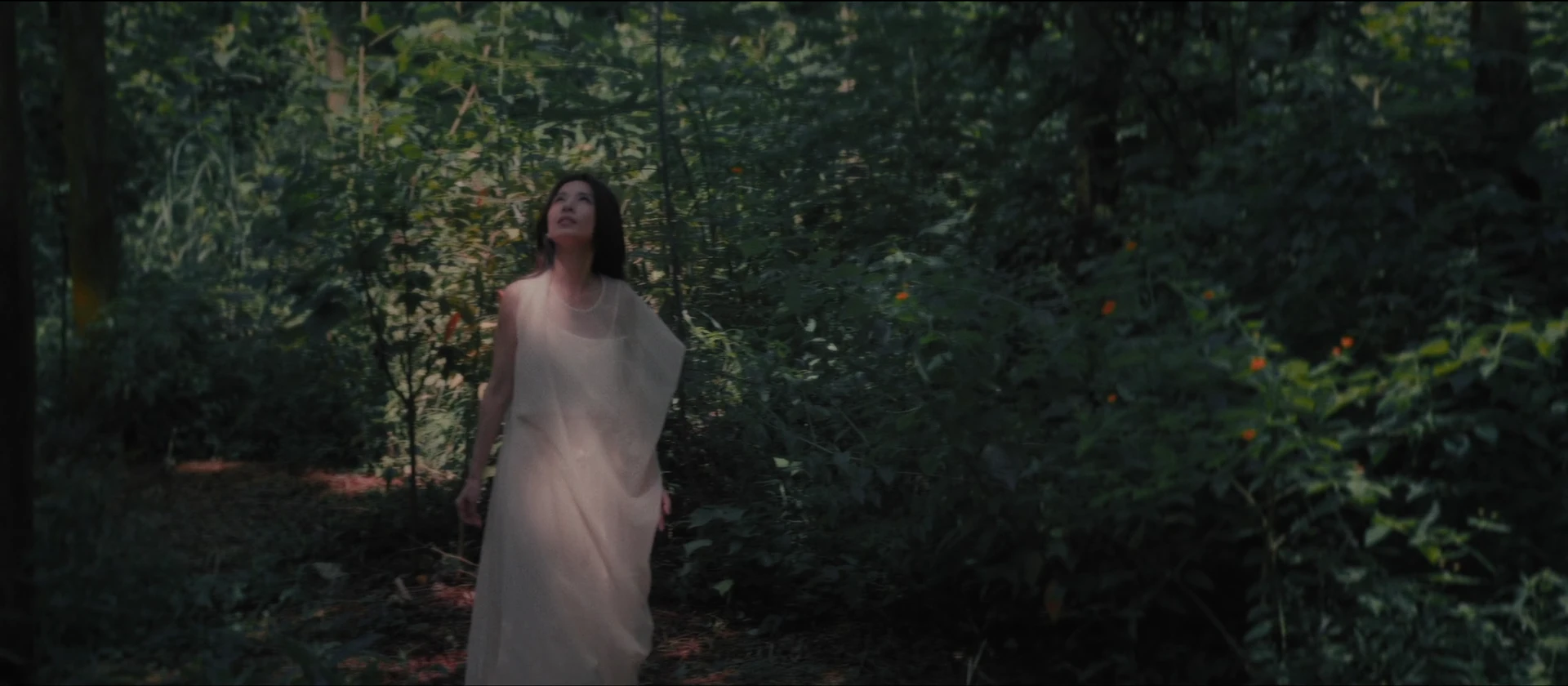 Glimpses of a Journey — Forest reverie