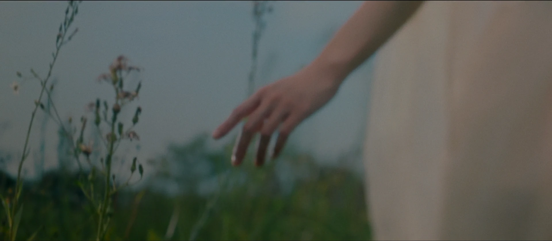 A hand brushes the grass