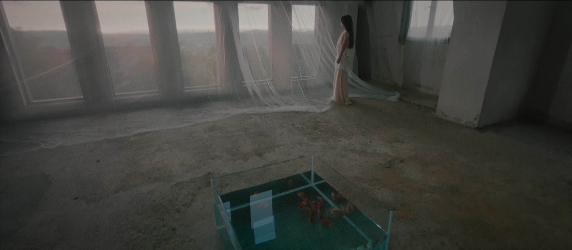 Hebe Tien — Light in the room