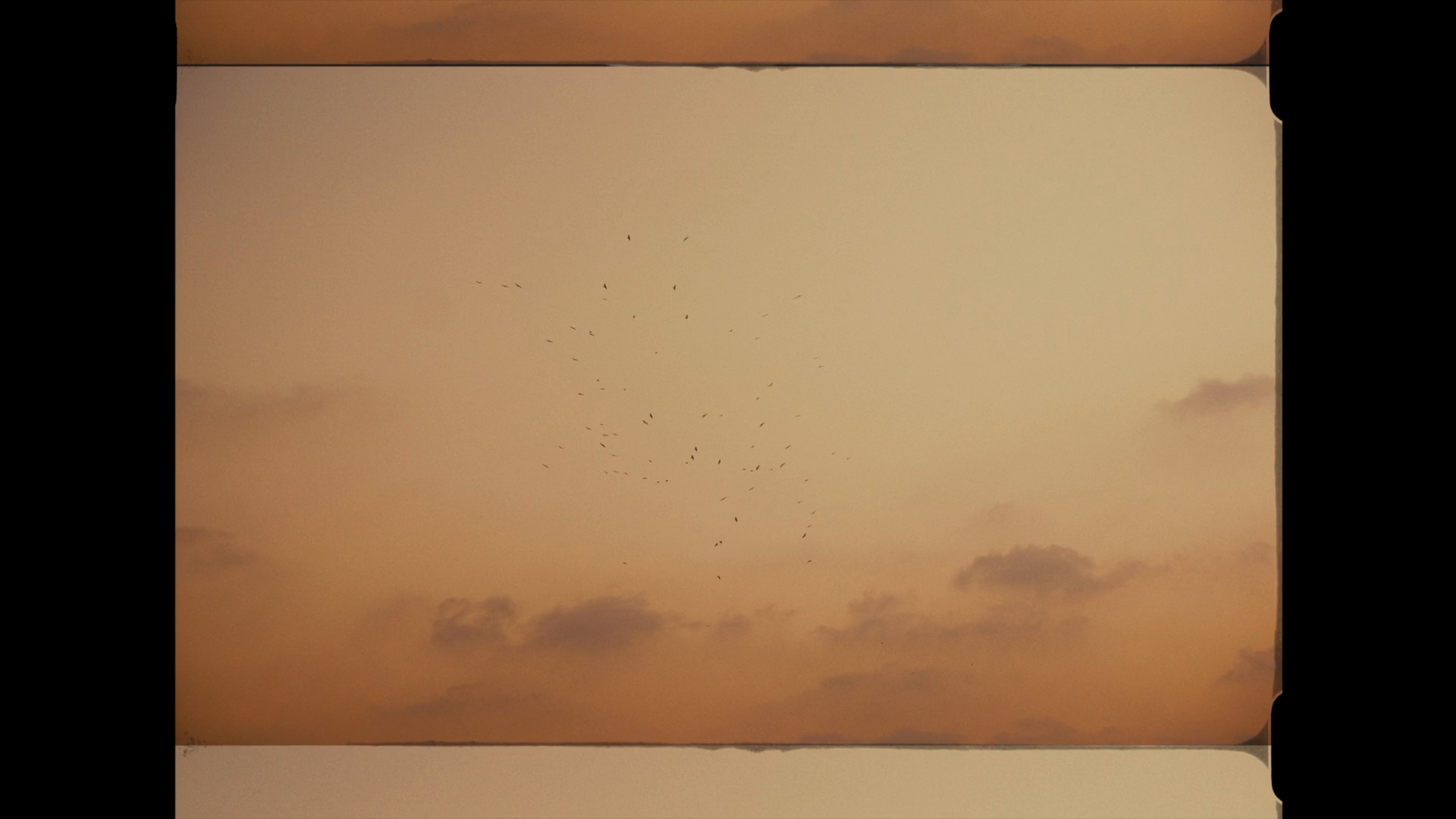 The fading evening sky