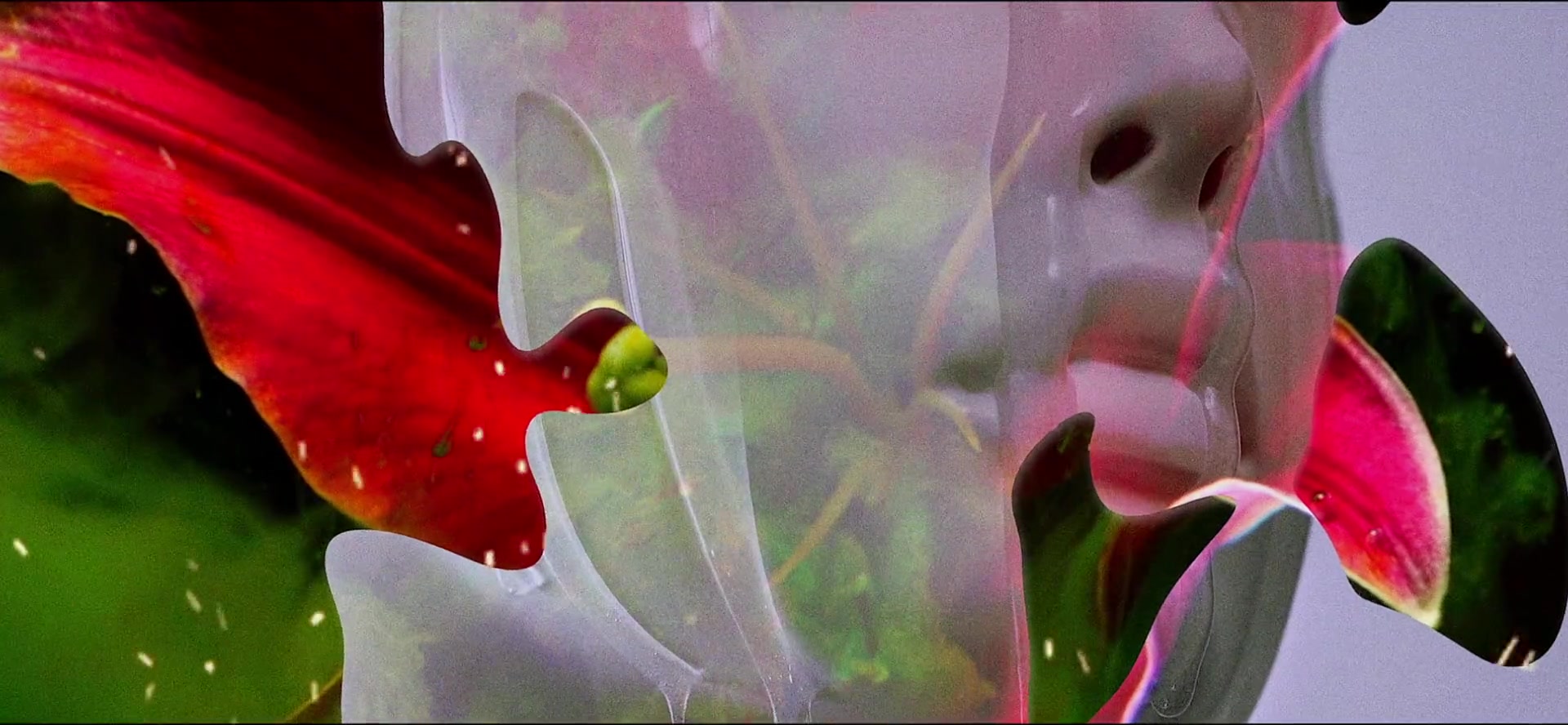 Translucent facial profile layered with pink, red, and green organic forms.