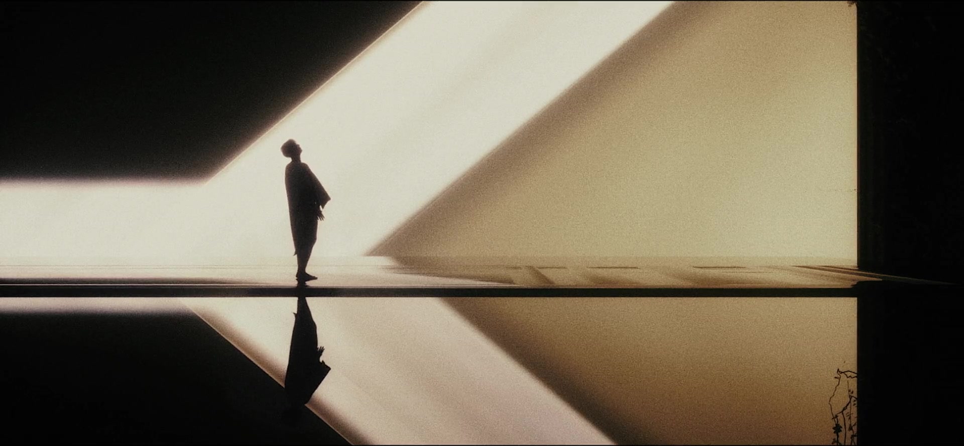 SPLENDOR — Light & reflection