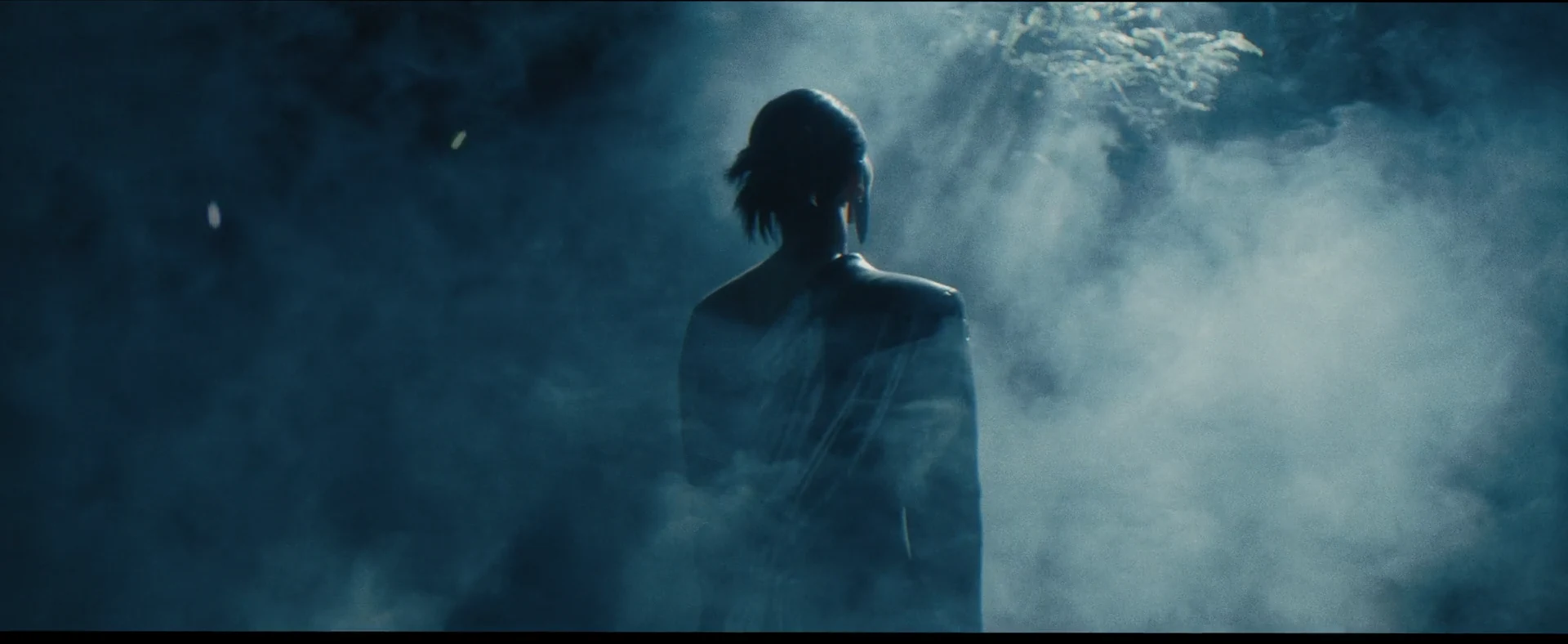 Emerging through the mist