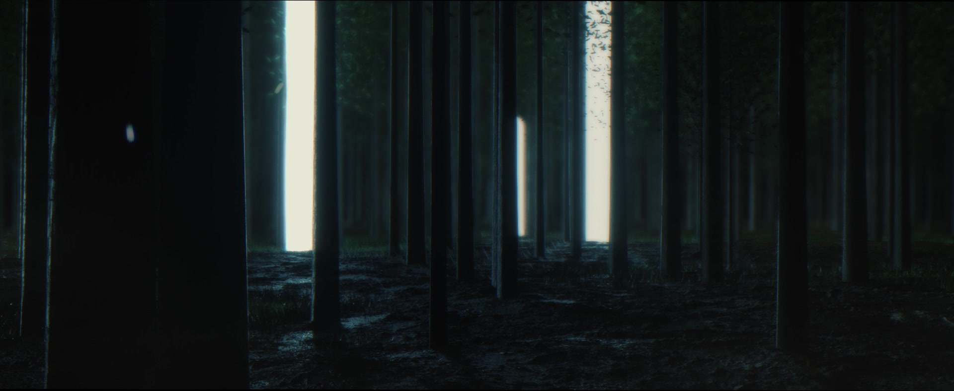 Illuminated columns in the forest
