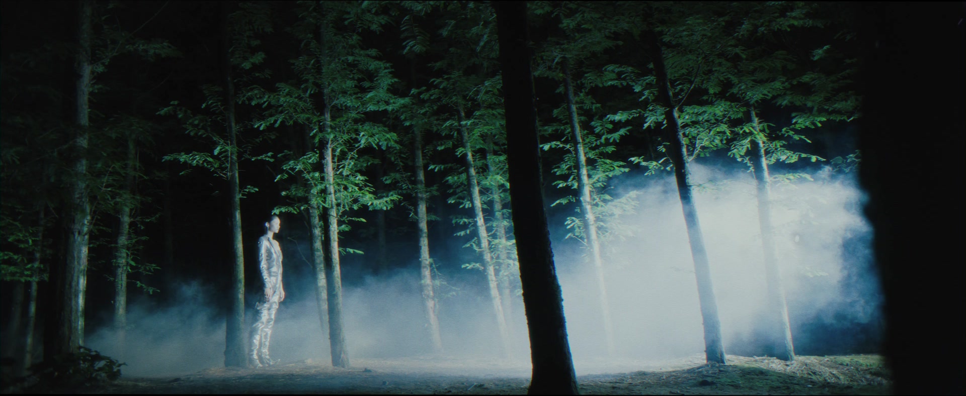 A light portal among forest trees