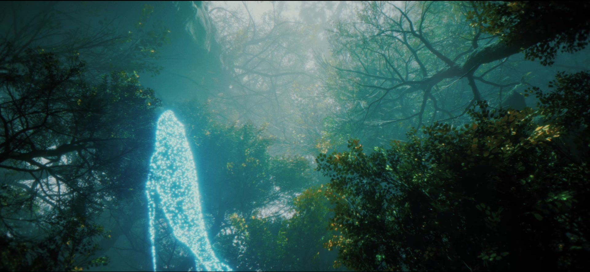 Glowing portal in a forest