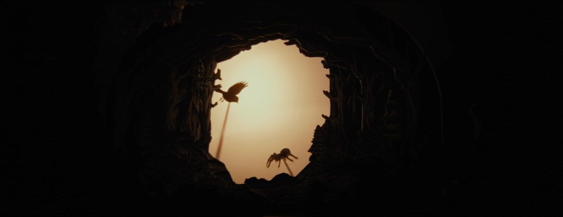 YELLOW — Wings & Dirt, selected film frame 4