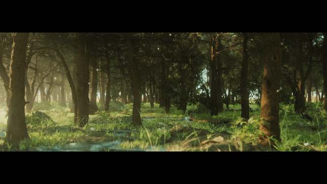 Yu-Guang Island — Forest light